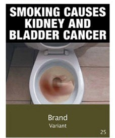 Current health warnings on cigarette packages include blindness, gangrene and heart disease, but experts want the list expanded to include issues such as liver, pancreatic and stomach cancers.
