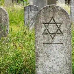 Some thoughts on the Bondi shootings